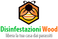 Wood Disinfestazioni Milano e Provincia