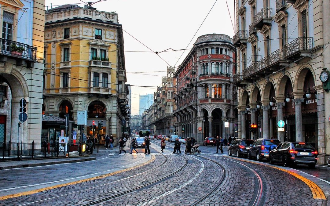 Servizio derattizzazione Torino